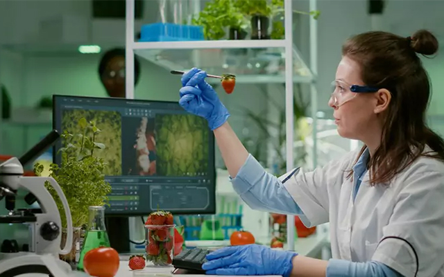 Importance of Food Testing and Inspection Explained
